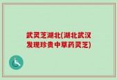 武灵芝湖北(湖北武汉发现珍贵中草药灵芝)
