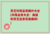 灵芝珍珠盆景图片大全(珍珠盆景大全：美丽的灵芝盆景完美展现！)