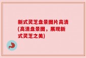 新式灵芝盘景图片高清(高清盘景图，展现新式灵芝之美)