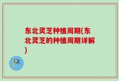 东北灵芝种植周期(东北灵芝的种植周期详解)