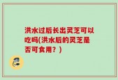 洪水过后长出灵芝可以吃吗(洪水后的灵芝是否可食用？)