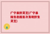 广宁县野灵芝(广宁县陆生态园首次发现野生灵芝)