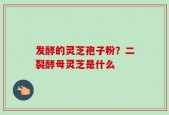 发酵的灵芝孢子粉？二裂酵母灵芝是什么