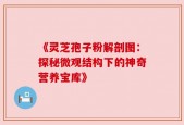 《灵芝孢子粉解剖图：探秘微观结构下的神奇营养宝库》