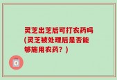 灵芝出芝后可打农药吗(灵芝被处理后是否能够施用农药？)