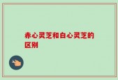 赤心灵芝和白心灵芝的区别