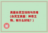 真菌白灵芝功效与作用(白灵芝真菌：神奇之物，有什么好处？)