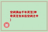 空间满山千年灵芝(神奇灵芝生长在空间之中)