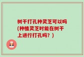 树干打孔种灵芝可以吗(种植灵芝时能在树干上进行打孔吗？)