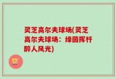 灵芝高尔夫球场(灵芝高尔夫球场：绿茵挥杆醉人风光)