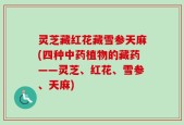 灵芝藏红花藏雪参天麻(四种中药植物的藏药——灵芝、红花、雪参、天麻)
