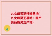 九女峰灵芝种植基地(九女峰灵芝基地：国产高品质灵芝产地)