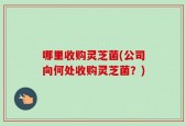 哪里收购灵芝菌(公司向何处收购灵芝菌？)