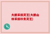 大鹏采摘灵芝(大鹏山林采摘珍贵灵芝)