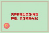 天降祥瑞出灵芝(祥瑞降临，灵芝初露头角)