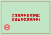 灵芝孢子粉自家种植(家庭自种灵芝孢子粉)