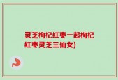 灵芝枸杞红枣一起枸杞红枣灵芝三仙女)
