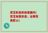 灵芝形态的如意图片(灵芝如意形态，诠释完美匠心)