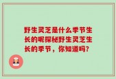 野生灵芝是什么季节生长的呢探秘野生灵芝生长的季节，你知道吗？