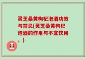 灵芝桑黄枸杞泡酒功效与禁忌(灵芝桑黄枸杞泡酒的作用与不宜饮用。)