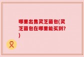 哪里出售灵芝菌包(灵芝菌包在哪里能买到？)