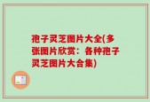 孢子灵芝图片大全(多张图片欣赏：各种孢子灵芝图片大合集)