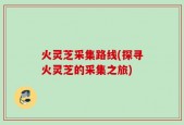 火灵芝采集路线(探寻火灵芝的采集之旅)