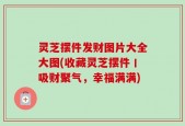 灵芝摆件发财图片大全大图(收藏灵芝摆件丨吸财聚气，幸福满满)