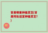 甘肃哪里种植灵芝(甘肃何处适宜种植灵芝？)
