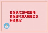 德保县灵芝种植基地(德保县打造大规模灵芝种植基地)