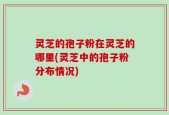 灵芝的孢子粉在灵芝的哪里(灵芝中的孢子粉分布情况)