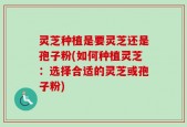 灵芝种植是要灵芝还是孢子粉(如何种植灵芝：选择合适的灵芝或孢子粉)