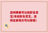 深圳哪里可以找野生灵芝(寻找野生灵芝，深圳这些地方可以探索)