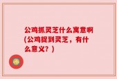 公鸡抓灵芝什么寓意啊(公鸡捉到灵芝，有什么意义？)