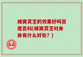 蜂窝灵芝的效果好吗百度百科(蜂窝灵芝对身体有什么好处？)