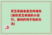 灵芝采回来是怎样保存(保存灵芝采摘的小技巧，保持药效不失的方法)