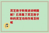 灵芝孢子粉用途说明图解？已采集了灵芝孢子粉的灵芝功效作用怎样呢
