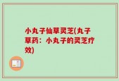 小丸子仙草灵芝(丸子草药：小丸子的灵芝疗效)