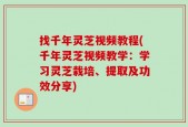 找千年灵芝视频教程(千年灵芝视频教学：学习灵芝栽培、提取及功效分享)