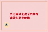 九芝堂灵芝孢子的神奇功效与养生价值