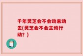 千年灵芝会不会动来动去(灵芝会不会主动行动？)