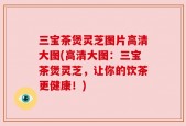 三宝茶煲灵芝图片高清大图(高清大图：三宝茶煲灵芝，让你的饮茶更健康！)