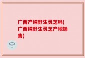 广西产纯野生灵芝吗(广西纯野生灵芝产地销售)