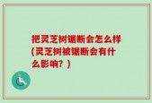 把灵芝树锯断会怎么样(灵芝树被锯断会有什么影响？)