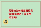 灵芝的生长现象图片高清(高清图片：灵芝生长之美)