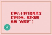 打井八十米打出肉灵芝打井80米，意外发现珍稀“肉灵芝”)