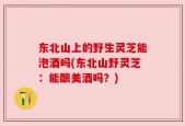 东北山上的野生灵芝能泡酒吗(东北山野灵芝：能酿美酒吗？)