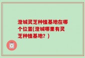 澄城灵芝种植基地在哪个位置(澄城哪里有灵芝种植基地？)