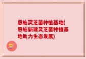 恩施灵芝菌种植基地(恩施新建灵芝菌种植基地助力生态发展)