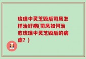 琉璃中灵芝毁后司凤怎样治好病(司凤如何治愈琉璃中灵芝毁后的病症？)
